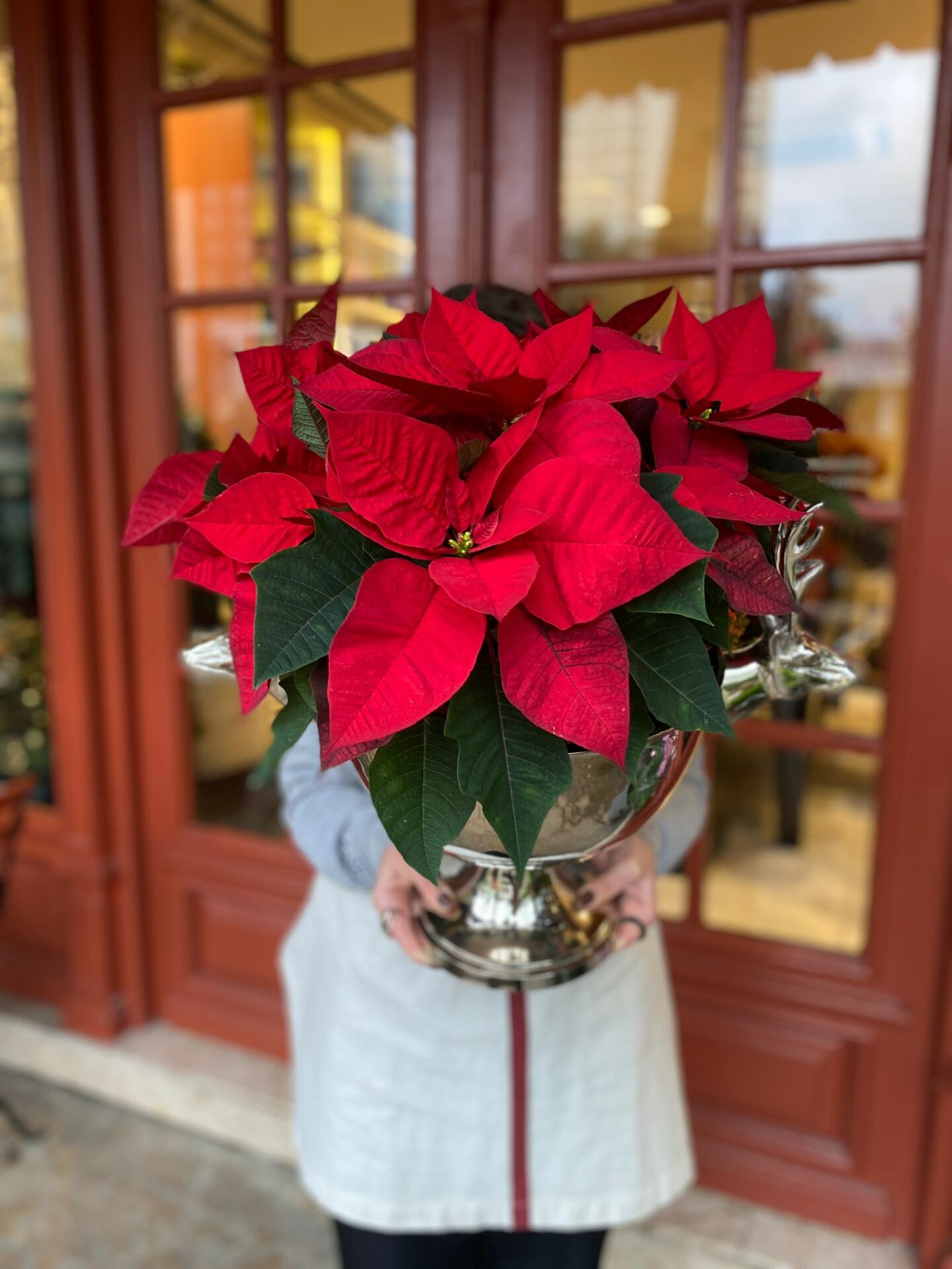 Geyikli Şampanya Kovasında Kırmızı Ponsetya Çiçeği