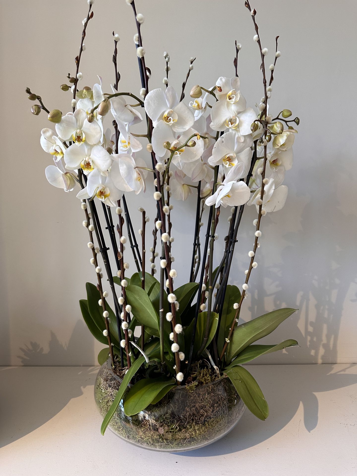 Premium Orkide Aranjmanı