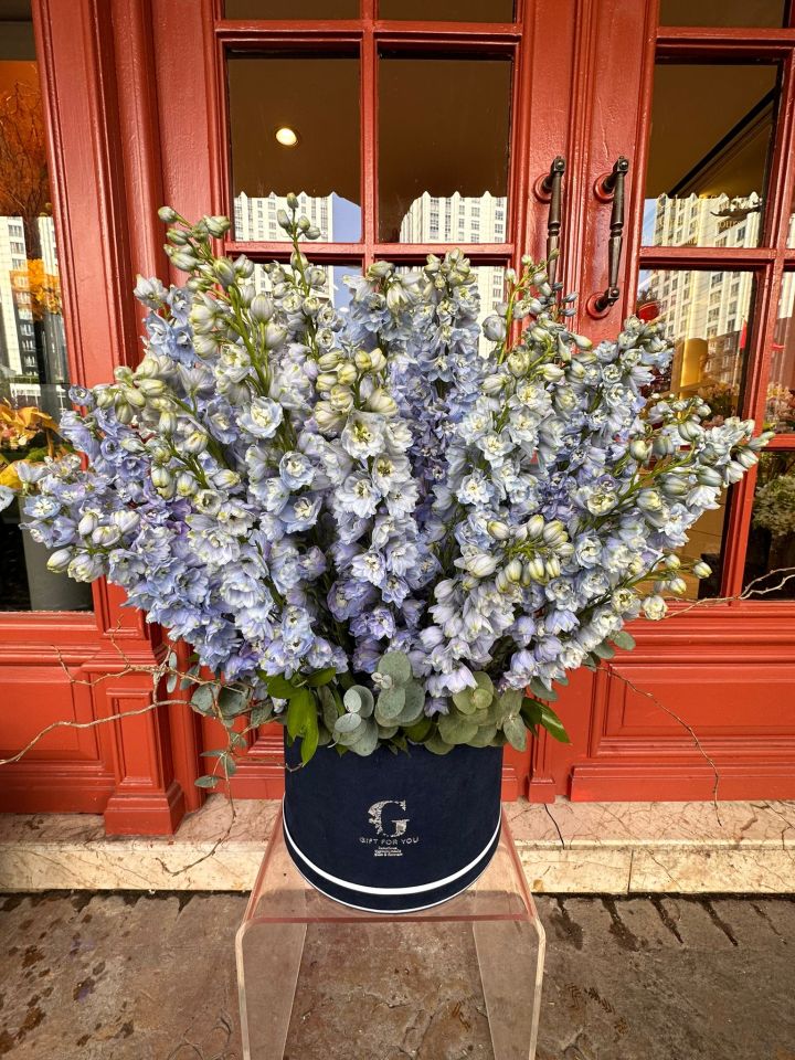 Delphiniumlu Extra Large Aranjman