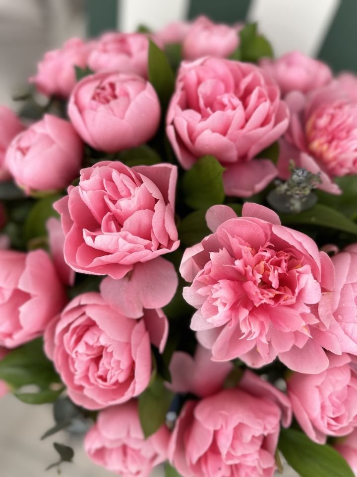 Coral Peony Box