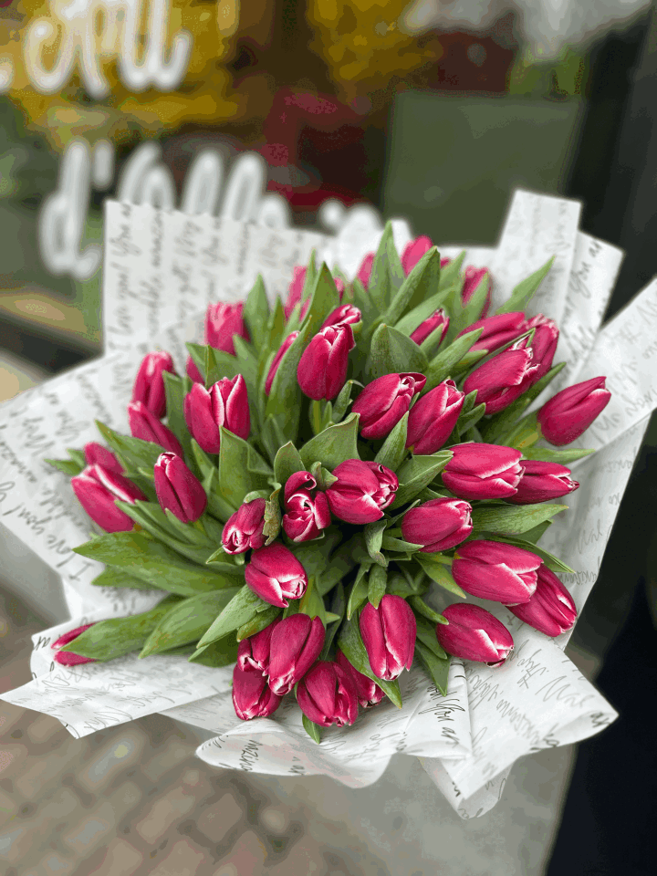 FUŞYA PEMBE LALELER